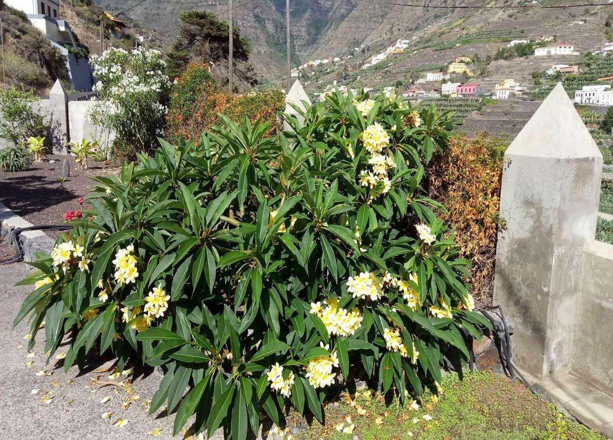 Gomera Garden. Vista Mar Altozano 헤르미가 외부 사진